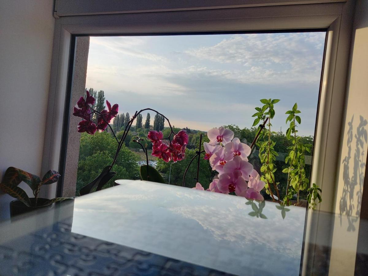 Lavanda Apartment Oradea Bagian luar foto